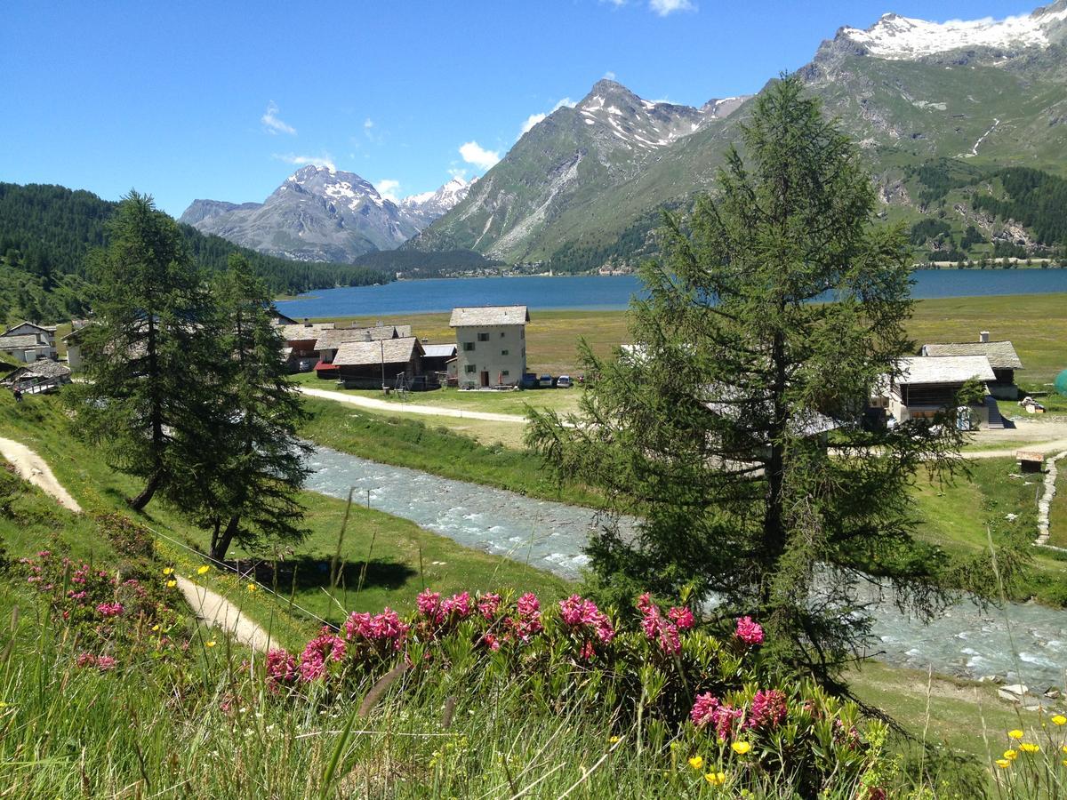 Hotel Ristorante Lagrev Maloja Dış mekan fotoğraf